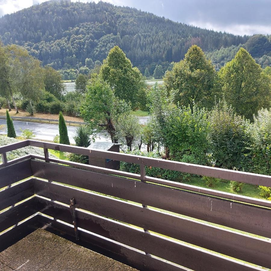 Ferienwohnung Am See Winterberg Zewnętrze zdjęcie